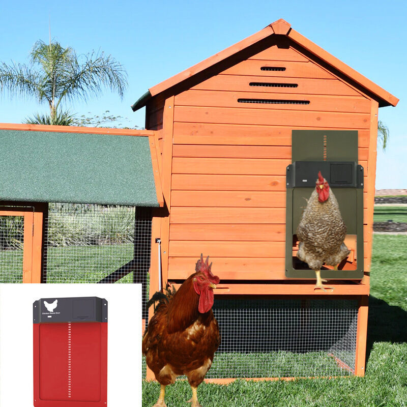 foto del prodotto porta automatica impermeabile per pollaio con sensore di luce design a induzione per una facile gestione delle galline colore rosso