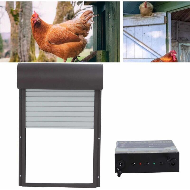 foto del prodotto porta automatica per pollaio per polli porta per pollaio con tenda avvolgibile in metallo ad energia solare con timer per apriporta per pollo,