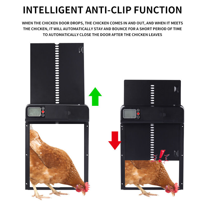 foto del prodotto porta automatica per pollaio, porta automatica per pollaio con timer e manuale, porta anti intrappolamento per pollaio con display led impermeabile