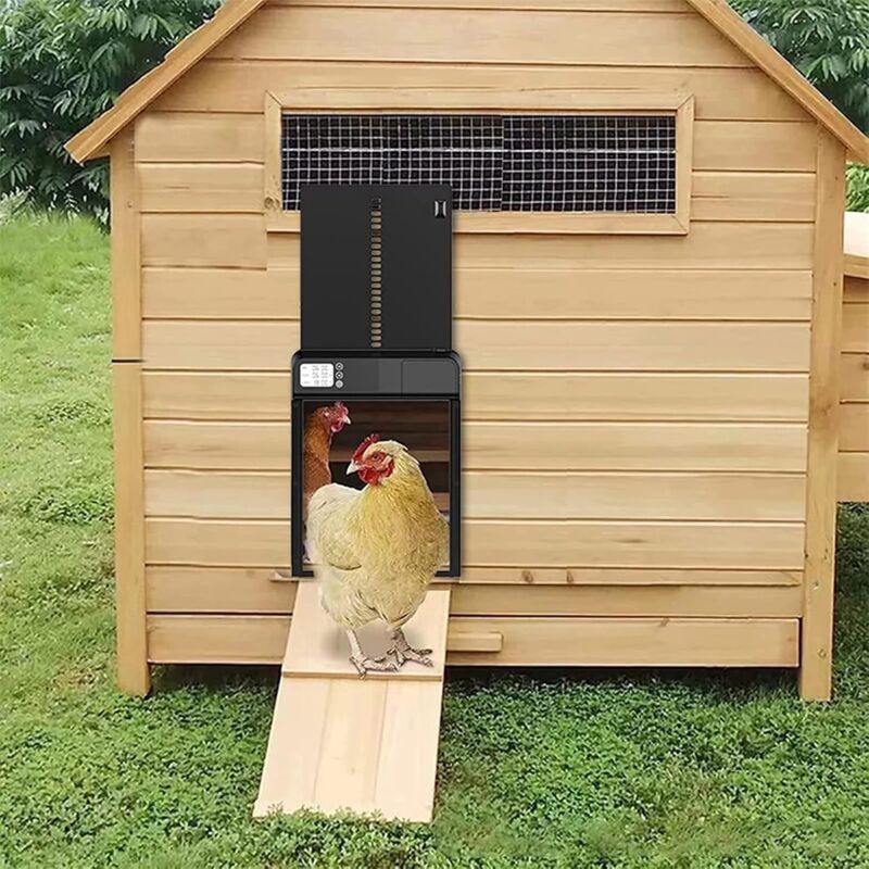 foto del prodotto porta automatica per pollaio, porta per pollaio in lega di alluminio, porta per pollaio con timer, display lcd a batteria