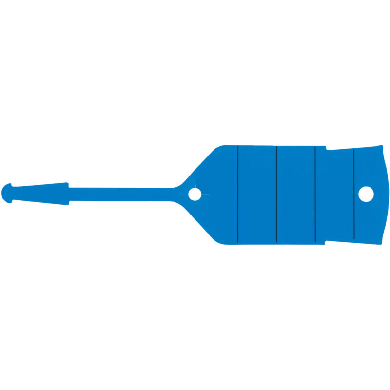 foto del prodotto portachiavi con occhiello, blu, 500 pz