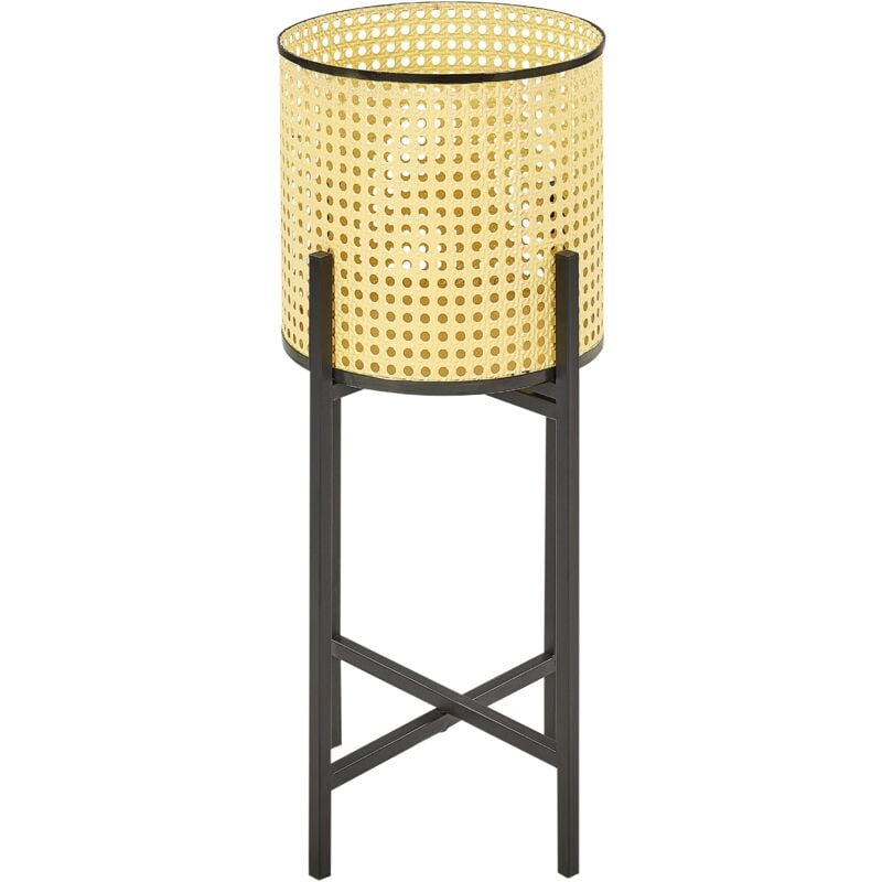 foto del prodotto portapiante per fiori metallo beige rotondo 25 x 25 x 60 cm fallopia