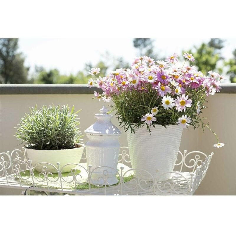 foto del prodotto portavaso porta vaso panna paglia d29 cm h 27 cm bama 34031 piante fiori