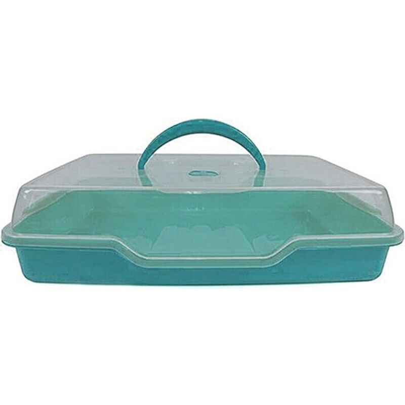 foto del prodotto portavivande vassoio con coperchio rettangolare contenitore da frigo porta torta colorigenerali celeste