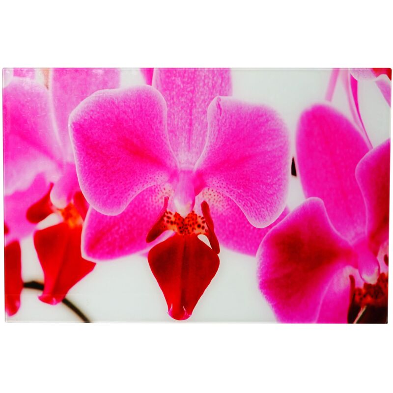 foto del prodotto poster da parete immagine in vetro 40x60cm motivo orchidea 040003368