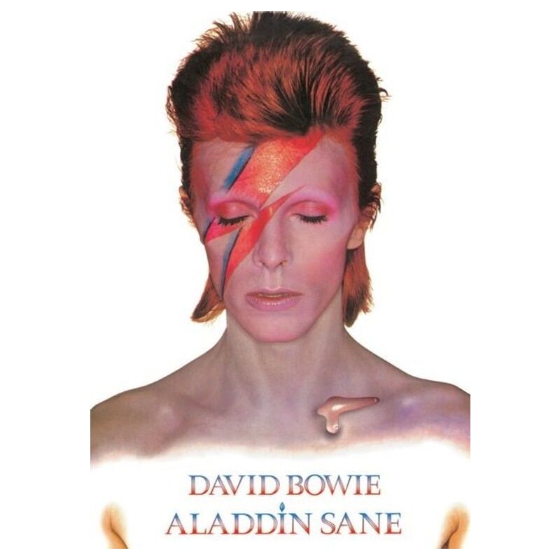 foto del prodotto poster david bowie aladdin sanitation