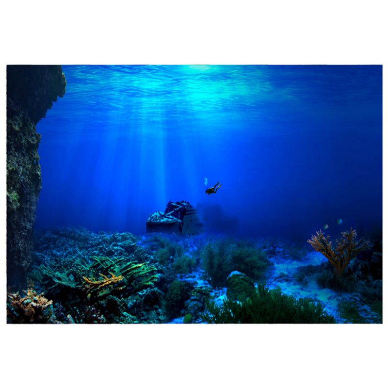 foto del prodotto poster di sfondo del mondo marino adesivo per la decorazione del serbatoio del pesce d acquario 61 x 41 cm eosnow