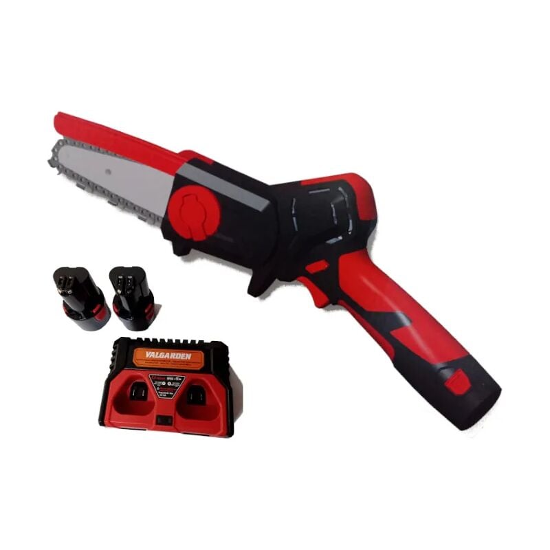 foto del prodotto potatore a batteria valgarden xp 10 np da 12,6v e 2,5ah con 2 batterie e caricabatterie