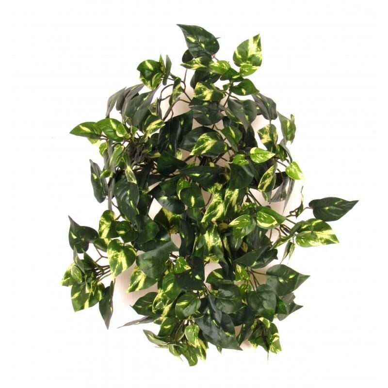 foto del prodotto pothos cespuglio artificiale con 240 mini-foglie variegato uvr h cm 40