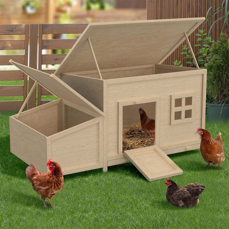 foto del prodotto poulailler toit plat pour poules sur pilotis avec pondoir en bois