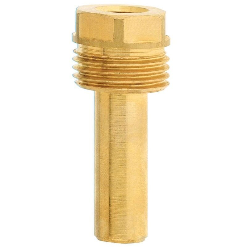 foto del prodotto pozzetto in ottone g 100 per tb stelo da 100mm, attacco g1 2b, per termometri serie tb pguaott005