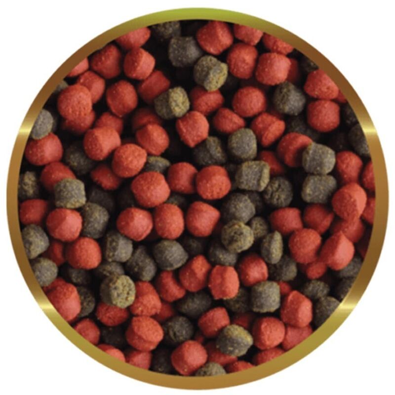 foto del prodotto premium marino large formato 125 gr shg