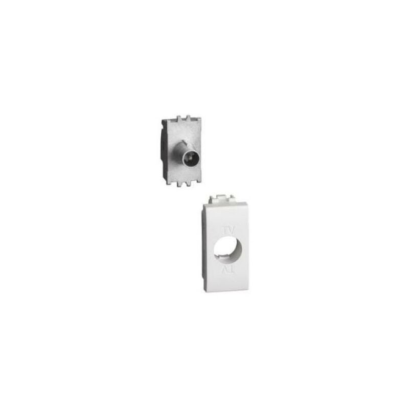 foto del prodotto presa coassiale diretta bticino livinglight bianco n4202dn