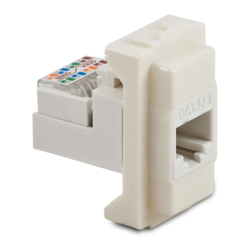 foto del prodotto presa dati master rj45 plug 8 8 cat.5e utp 6096