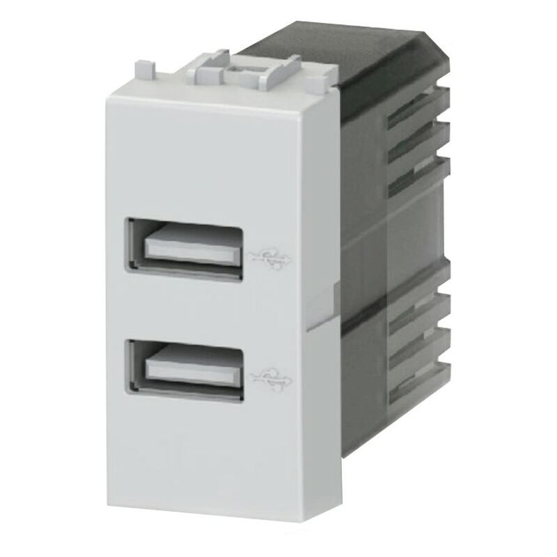 foto del prodotto presa doppia usb 4box 2.4a per bticino livinglight grigia 4b.nt.usb.24