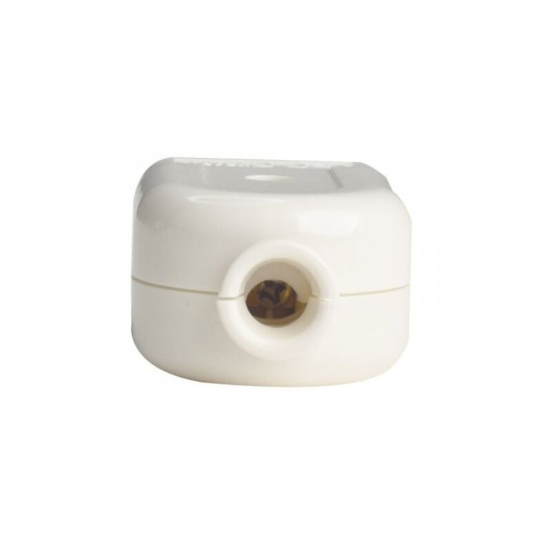 foto del prodotto presa elettrica 2p t 10a 250v max 1500w presa italiana bianco