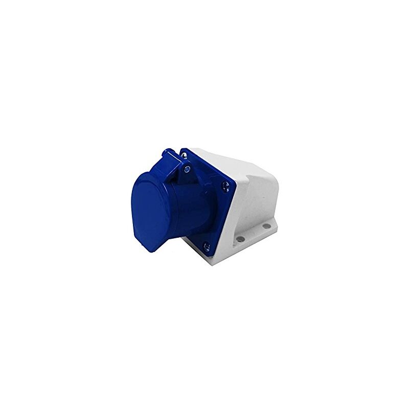 foto del prodotto presa parete 16a 2p t 220v electraline