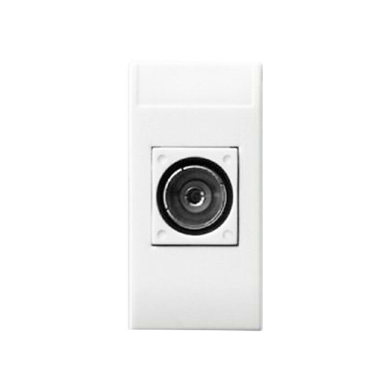 foto del prodotto presa tv e sat ave domus sistema 44 diretta connettore femmina 441096if