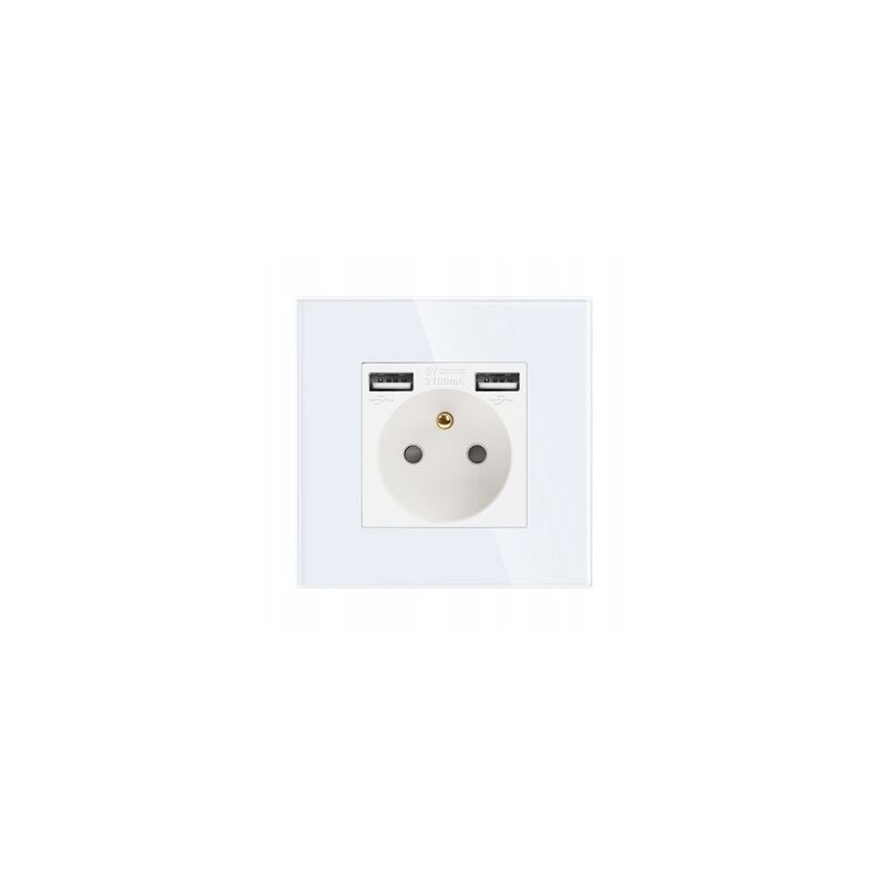 foto del prodotto presa vetro singola 2x contatto usb a 16a