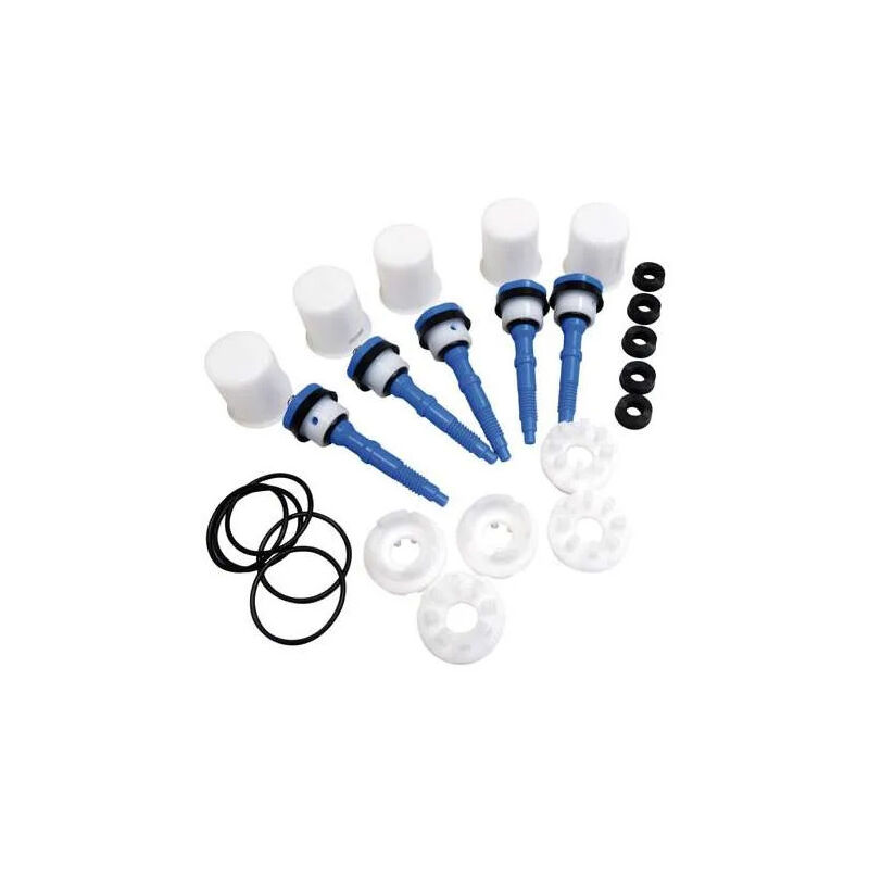 foto del prodotto presto sacco di 5 pistoni completi blu, per 600,700