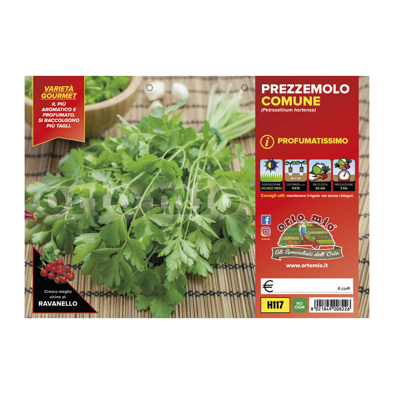 foto del prodotto prezzemolo comune profumato orto mio