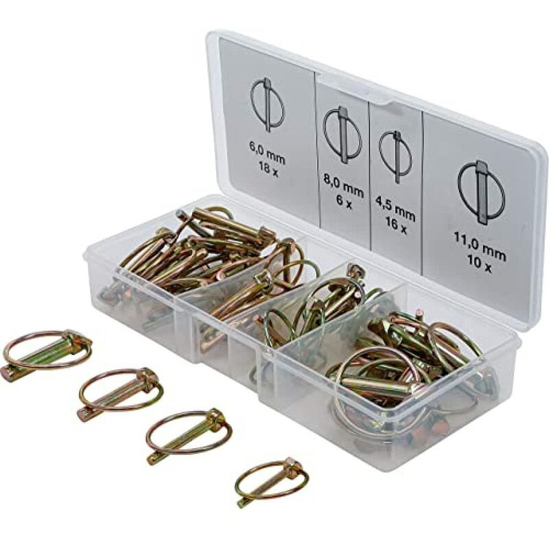 foto del prodotto pro set di 50 copiglie assortite bgs technic