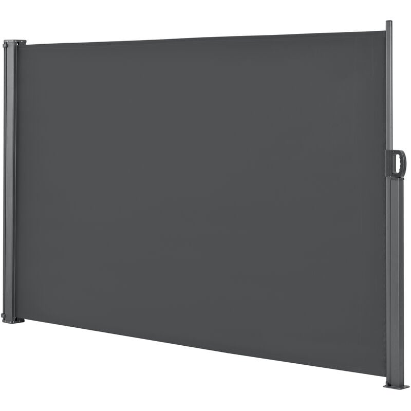 foto del prodotto pro.tec paravento estraibile mulhac n 160x300 cm grigio