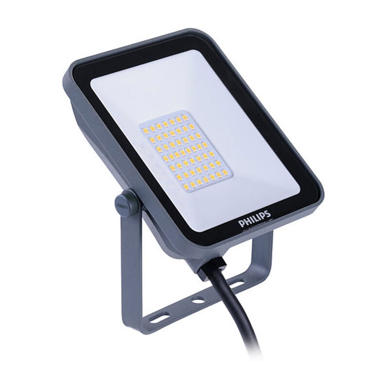 foto del prodotto proiettore a led philips 20w 4000k ip65 32973499