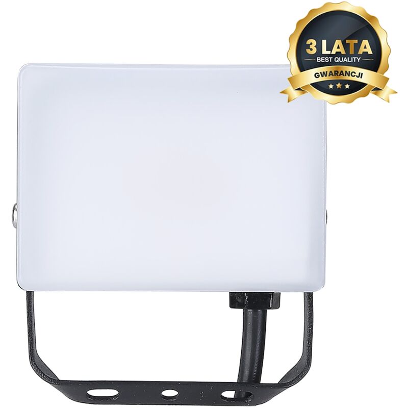 foto del prodotto proiettore led 10w 950lm 5000k