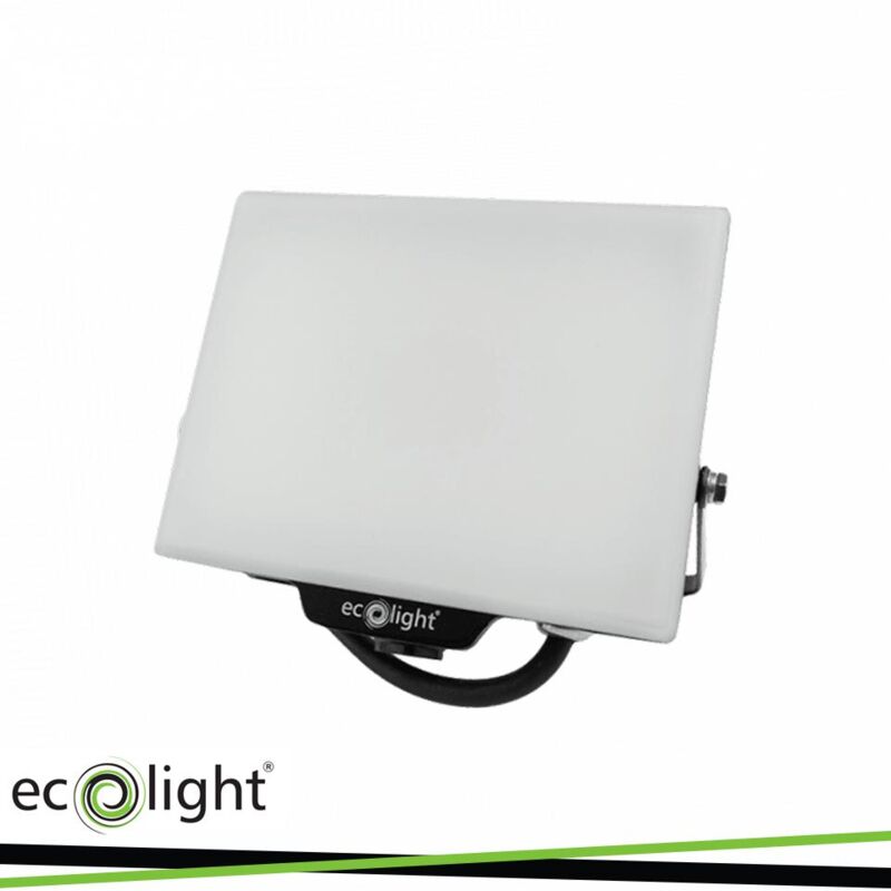 foto del prodotto proiettore led nl 2 30w 6500k 2700lm ip65 luce fredda