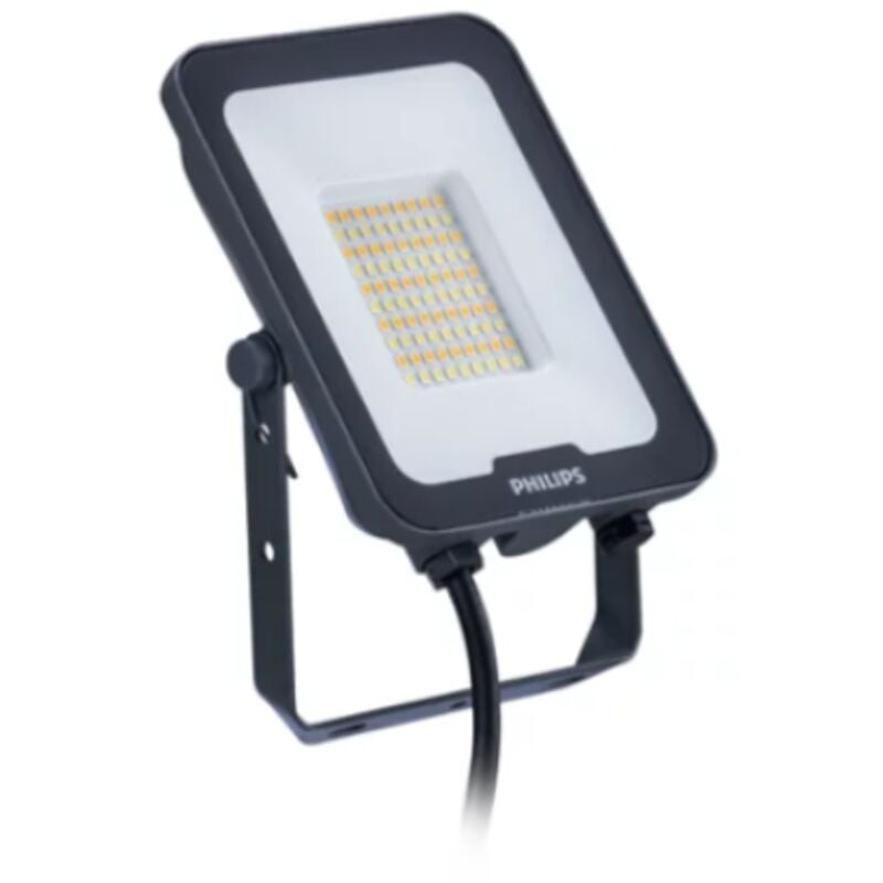 foto del prodotto proiettore led philips ledinaire 50w 3000-4200-6500k grigio - 73604799