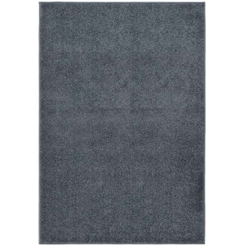 foto del prodotto prolenta premium - furniture limited - tappeto a pelo corto 160x230 cm antracite