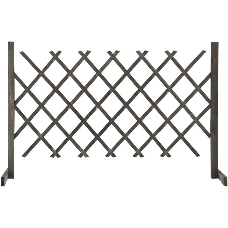 foto del prodotto prolenta premium - furniture limited - traliccio da giardino grigio 120x90 cm in