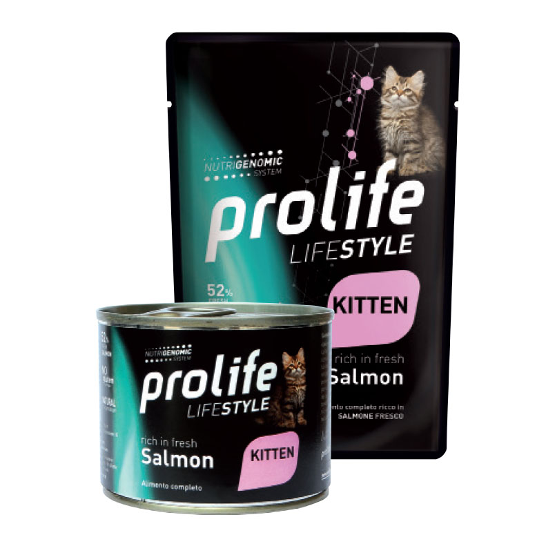 foto del prodotto prolife gatto lifestyle adulto salmone busta 85 gr