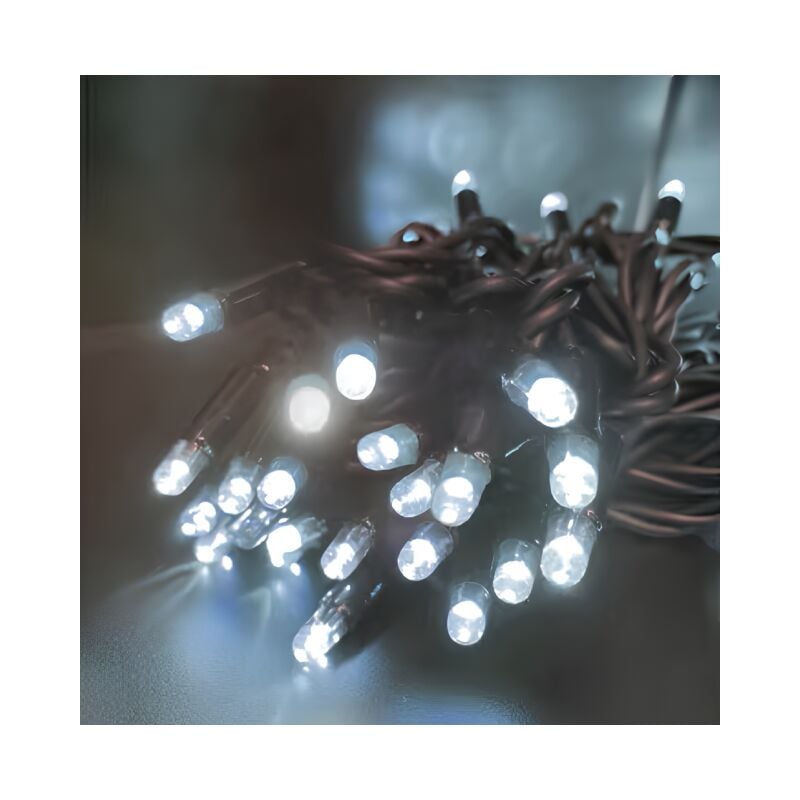 foto del prodotto prolunga 100 lucciolone a led bianche