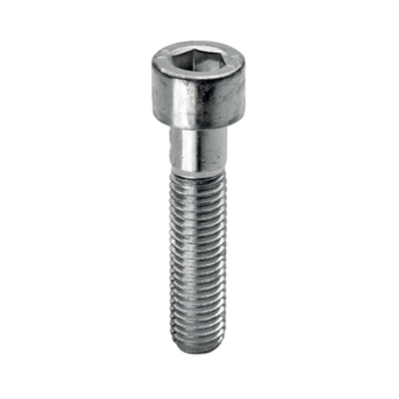 foto del prodotto protector vite tcei 8.8 zincato uni 5931 m6 x 80. prezzo per 1 pezzo.