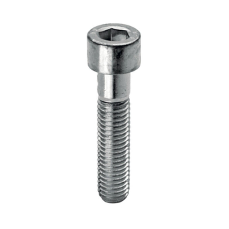 foto del prodotto protector vite tcei 8.8 zincato uni 5931 m6 x100. prezzo per 1 pezzo.