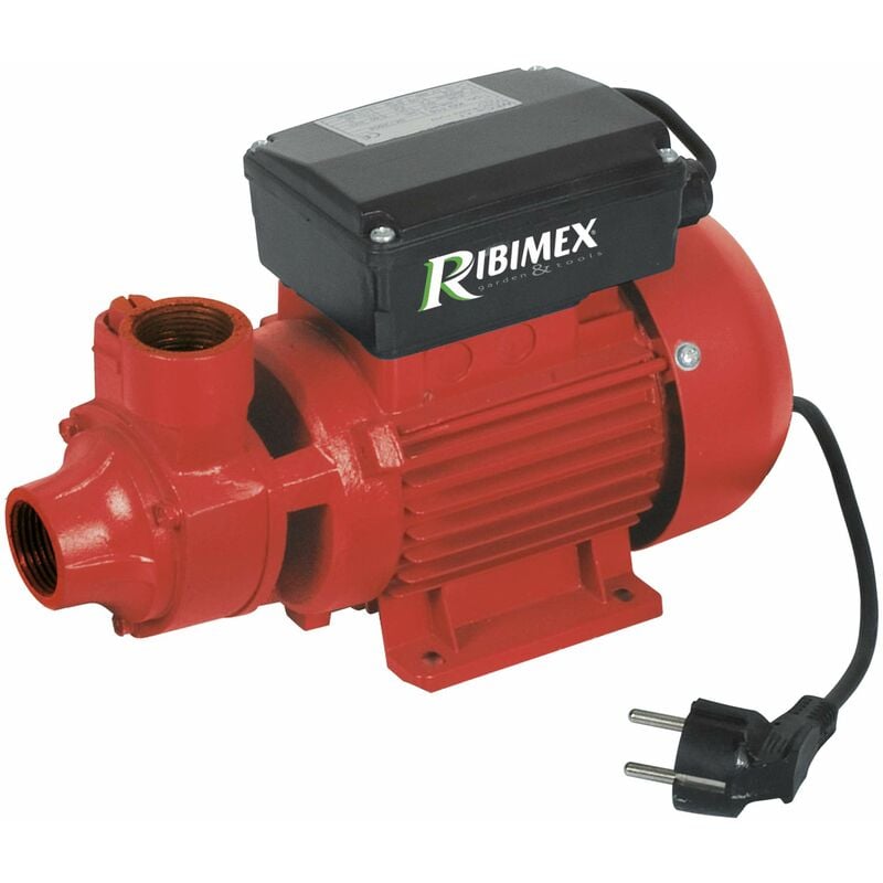 foto del prodotto prpc115 pompa gasolio, 30 l min, 370 w ribimex