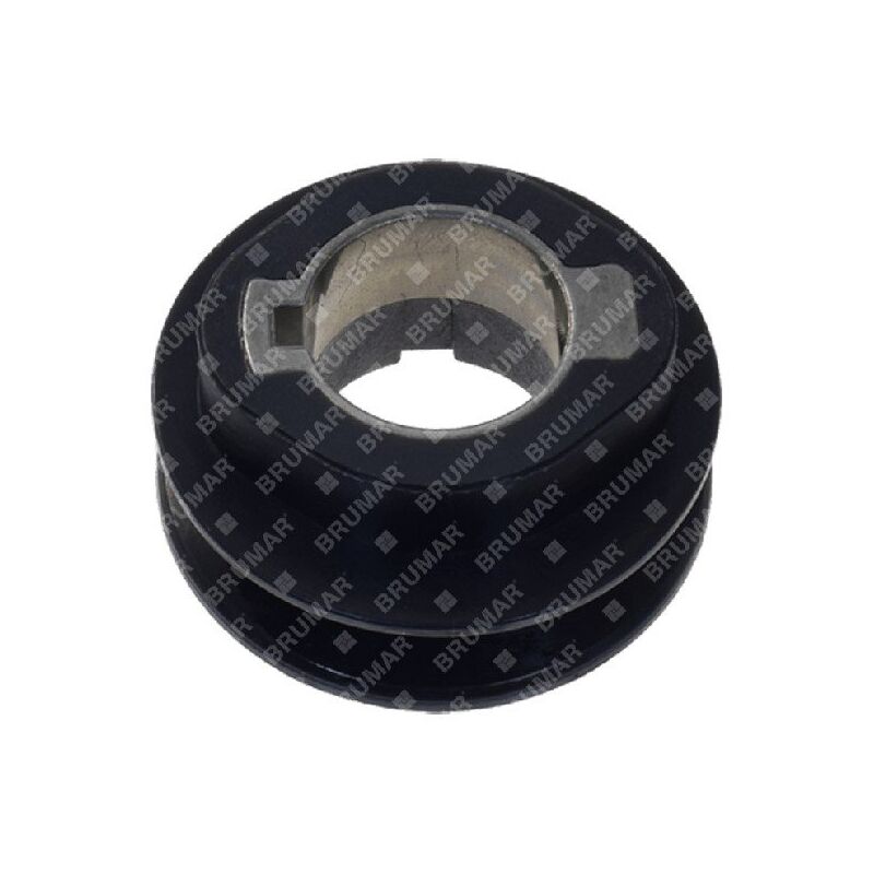 foto del prodotto puleggia albero motore newton compatibile 057878