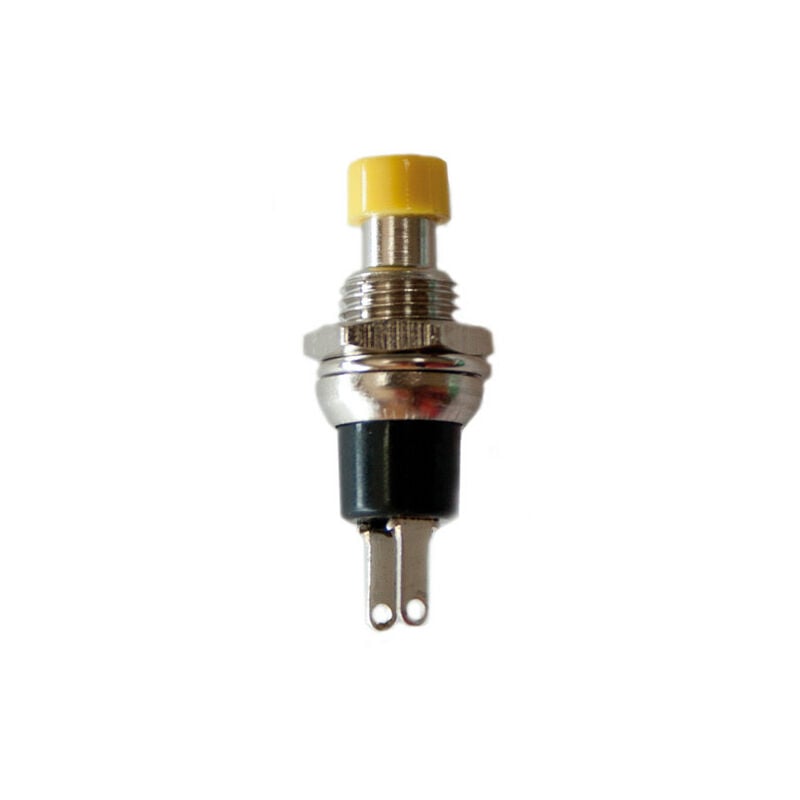 foto del prodotto pulsante 1a 250v