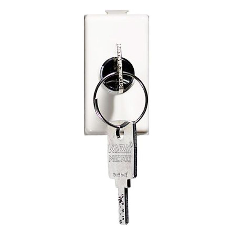 foto del prodotto pulsante a chiave matix 2p 10a 250 vac bticino am5007p