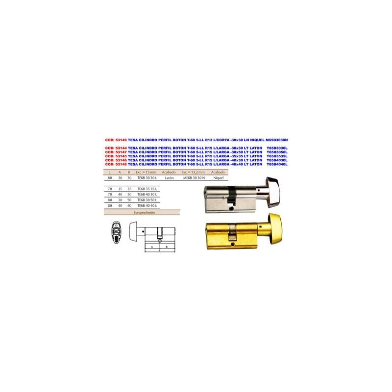 foto del prodotto pulsante profilo cilindro t 60 5 chiavi r15 bot 30x30 lt t65b3030l