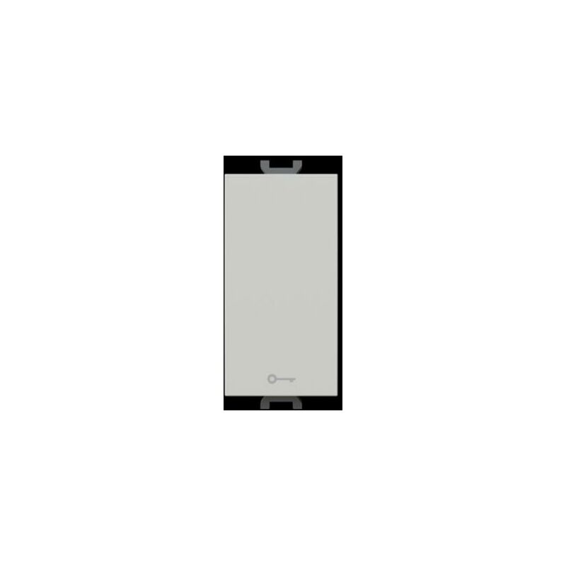 foto del prodotto pulsante simbolo chiave 1p 16 a na abb chiara 2csk1029ch