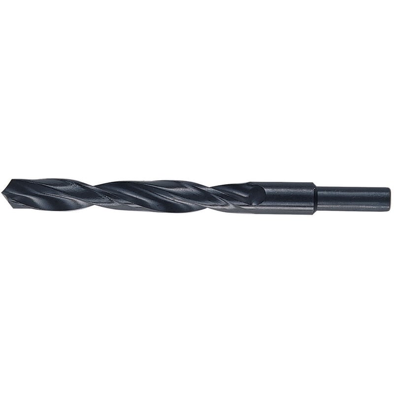foto del prodotto punte hss codolo mm.13 gr. 14