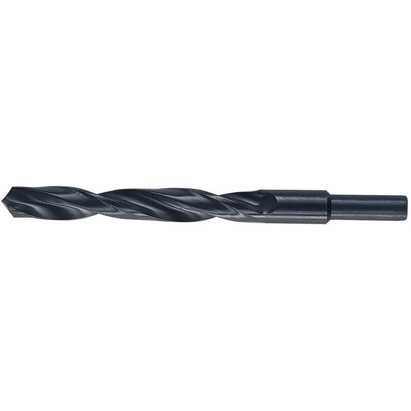 foto del prodotto punte hss codolo mm.13 gr. 15,5