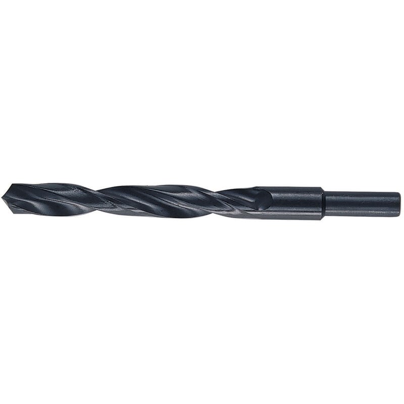 foto del prodotto punte hss codolo mm.13 gr. 15