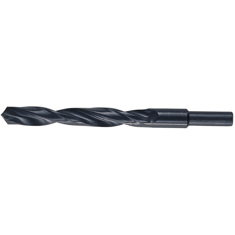 foto del prodotto punte hss codolo mm.13 gr. 16