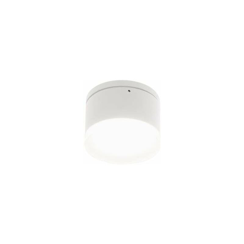 foto del prodotto punto luce ring bianco