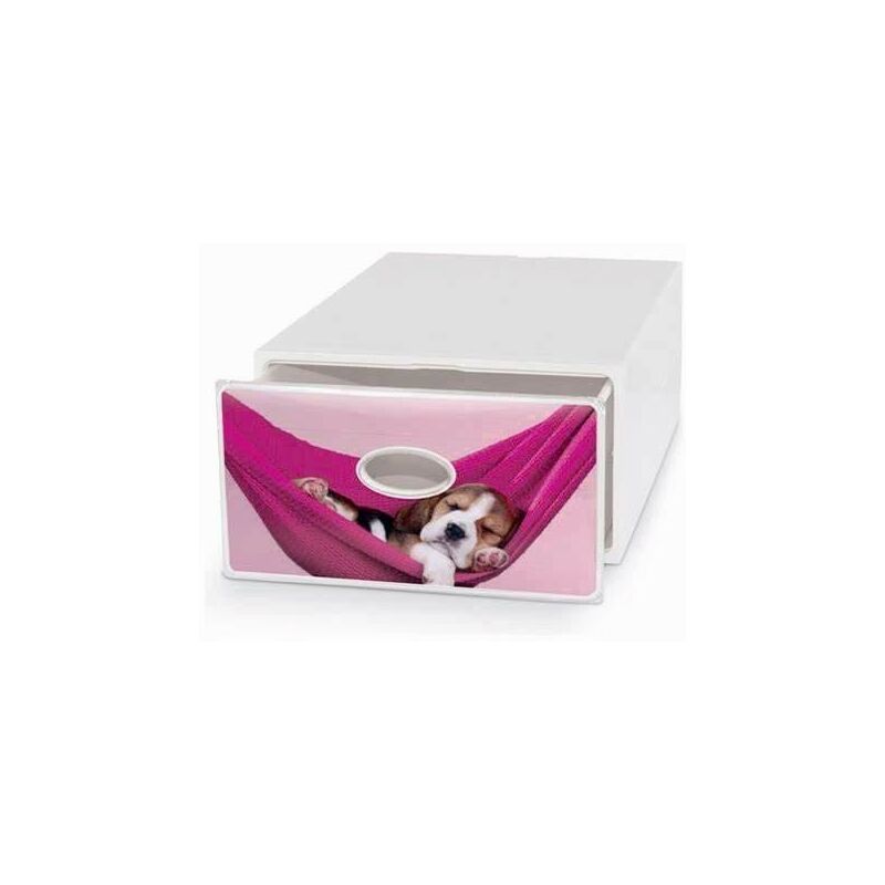 foto del prodotto qbox deco large pets