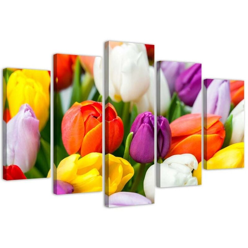 foto del prodotto quadri quadro 5 pezzi stampa su tela fiori di tulipani colorati 150x100